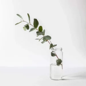 Elegant Tree